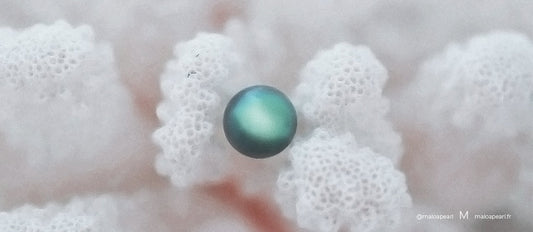 Qu'est-ce que la perle de Tahiti ?